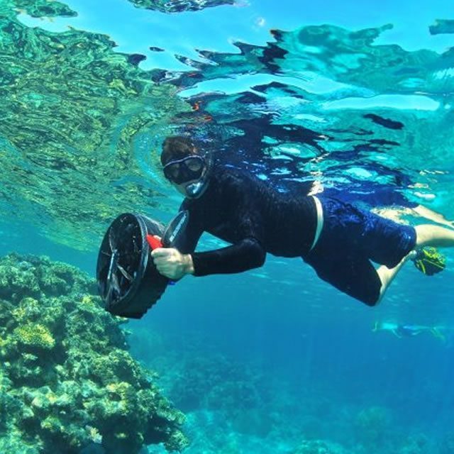 Guest face-to-face with moray eel