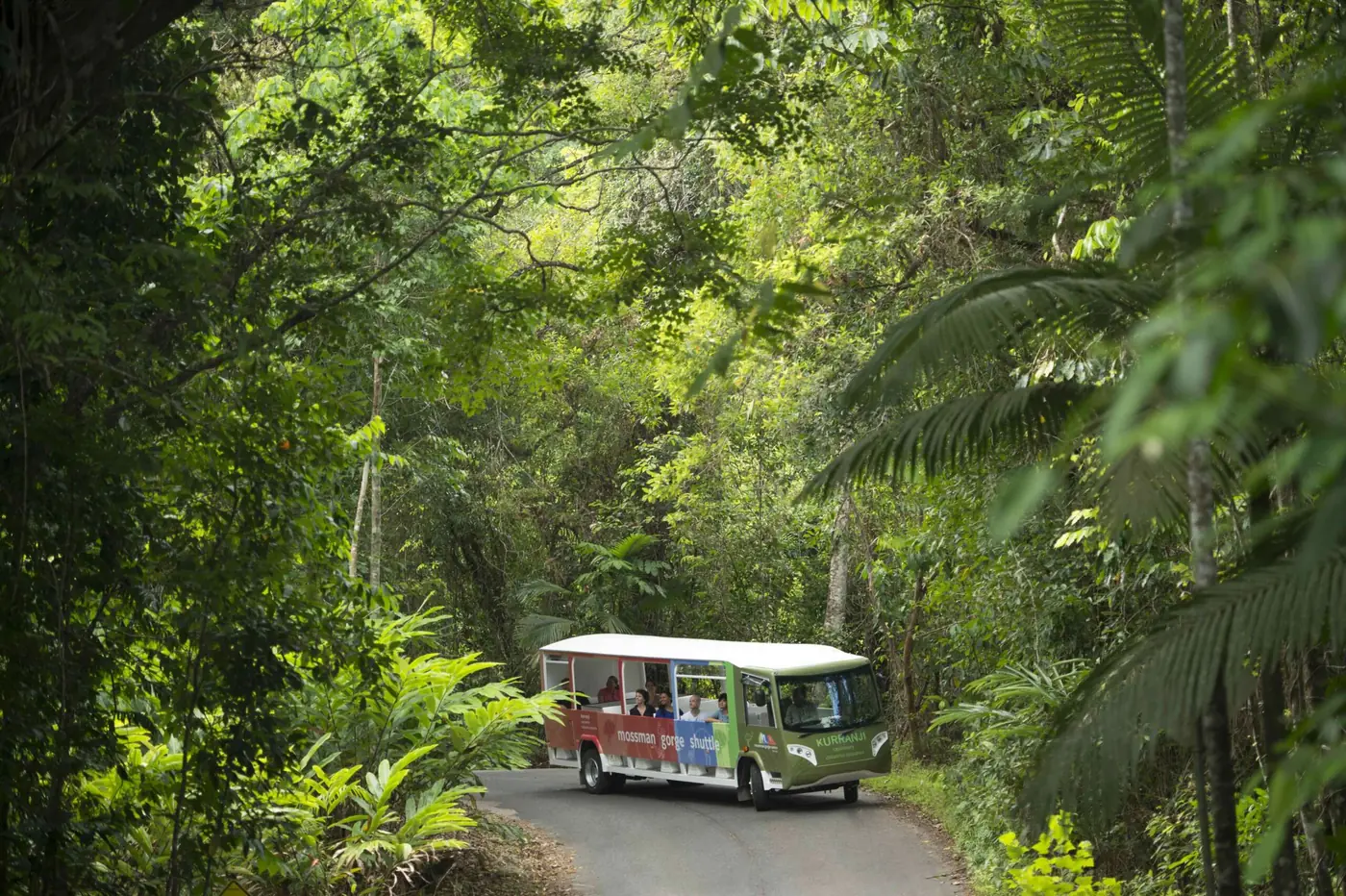 Daintree & Cape Tribulation