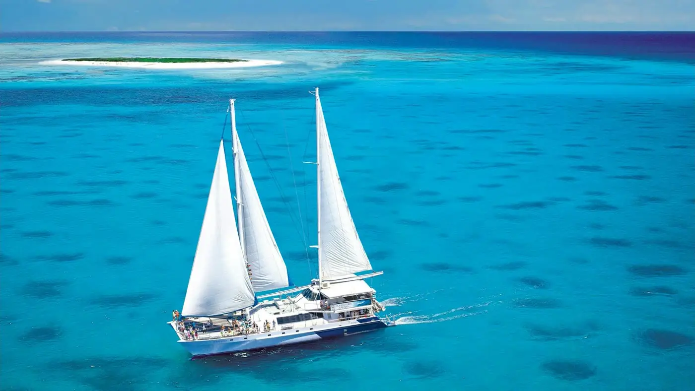 Island Tours
