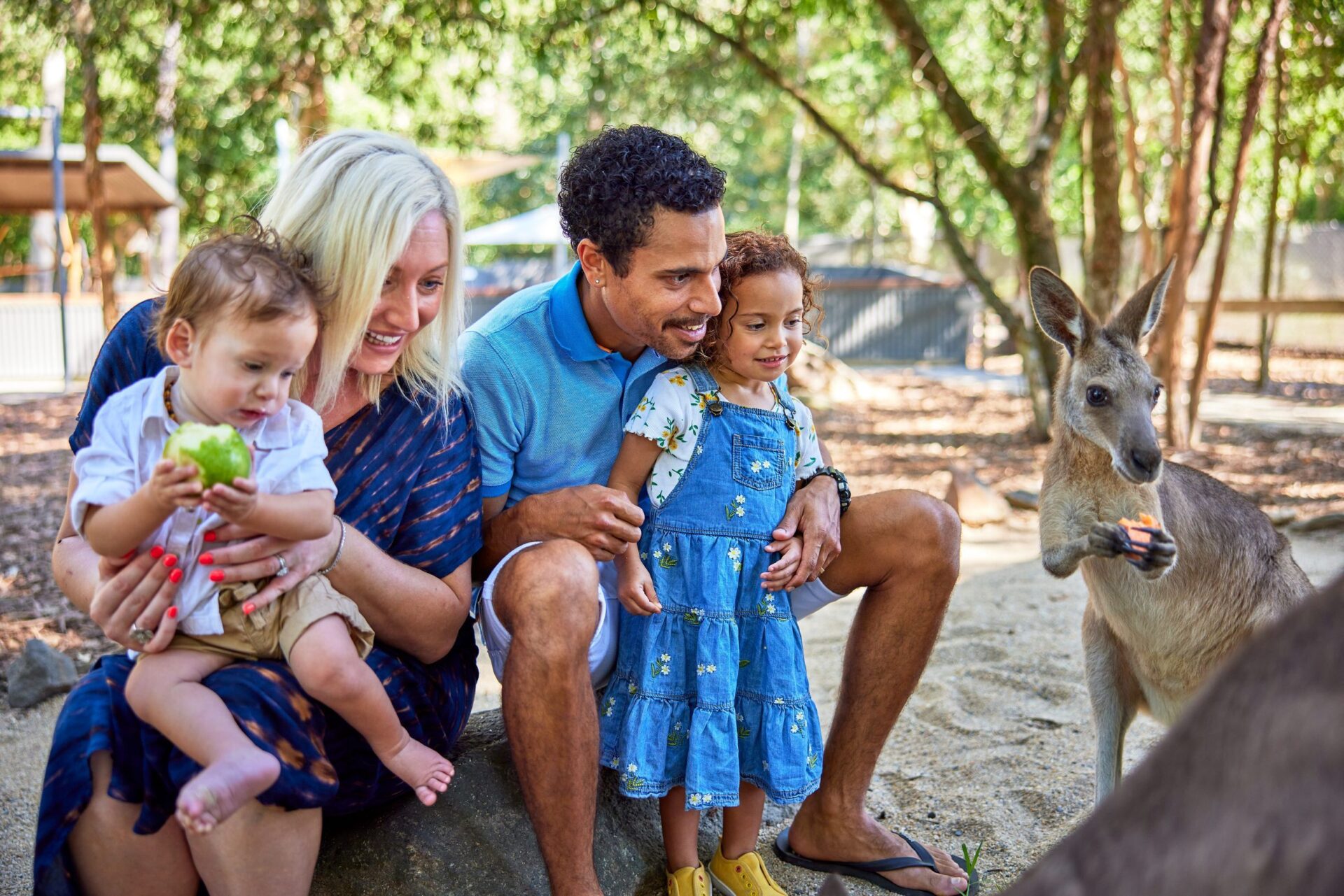 Kuranda and Hartley's Crocodile Adventures day tour