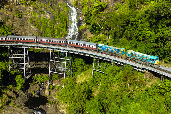 Kuranda and Hartley's Crocodile Adventures day tour