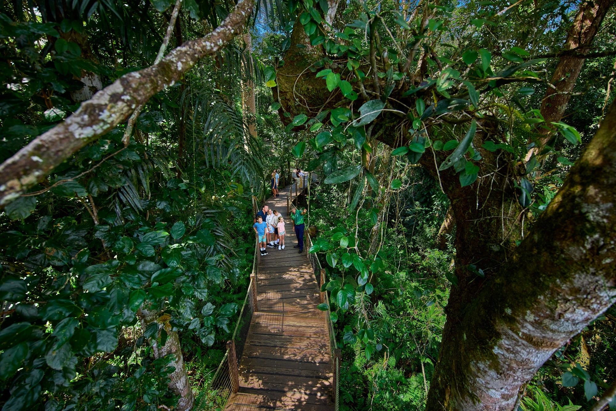 Kuranda Skyrail and Scenic Railway day tour