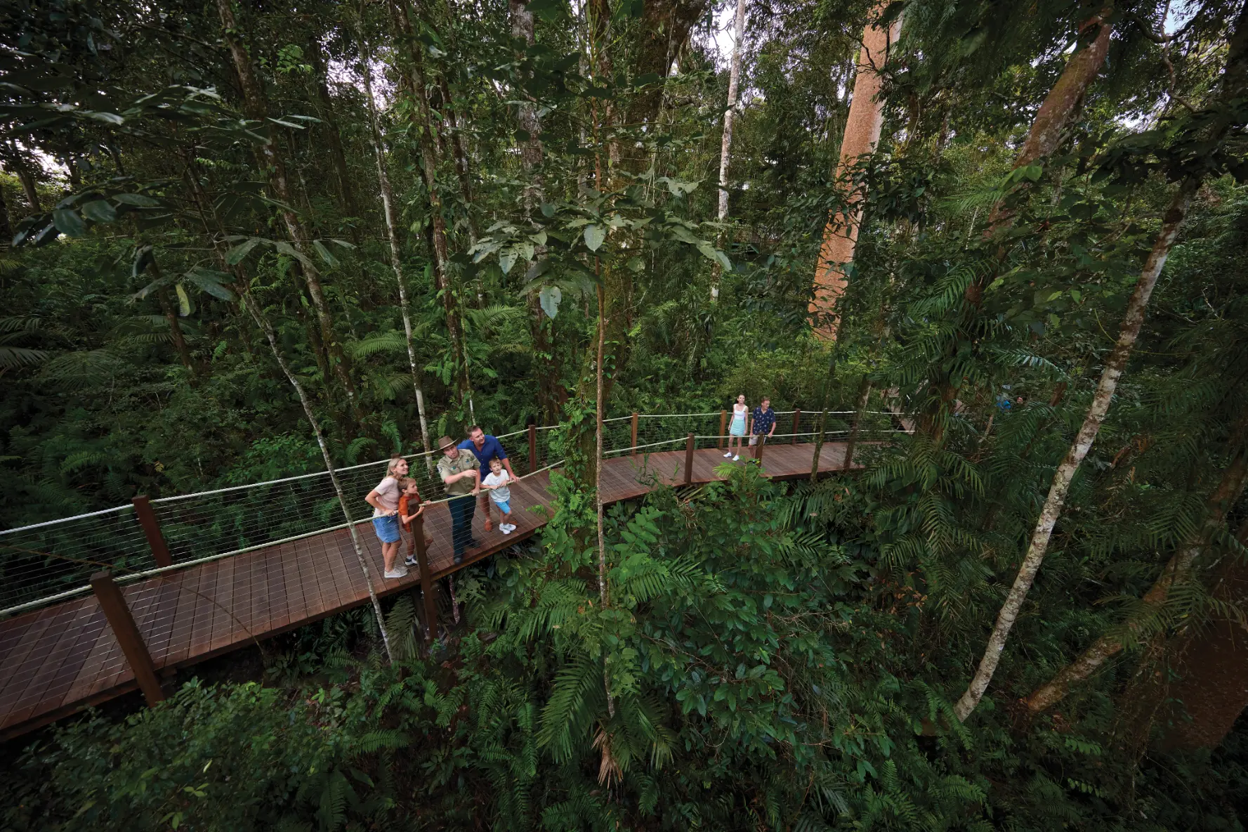 Kuranda Skyrail and Scenic Railway day tour