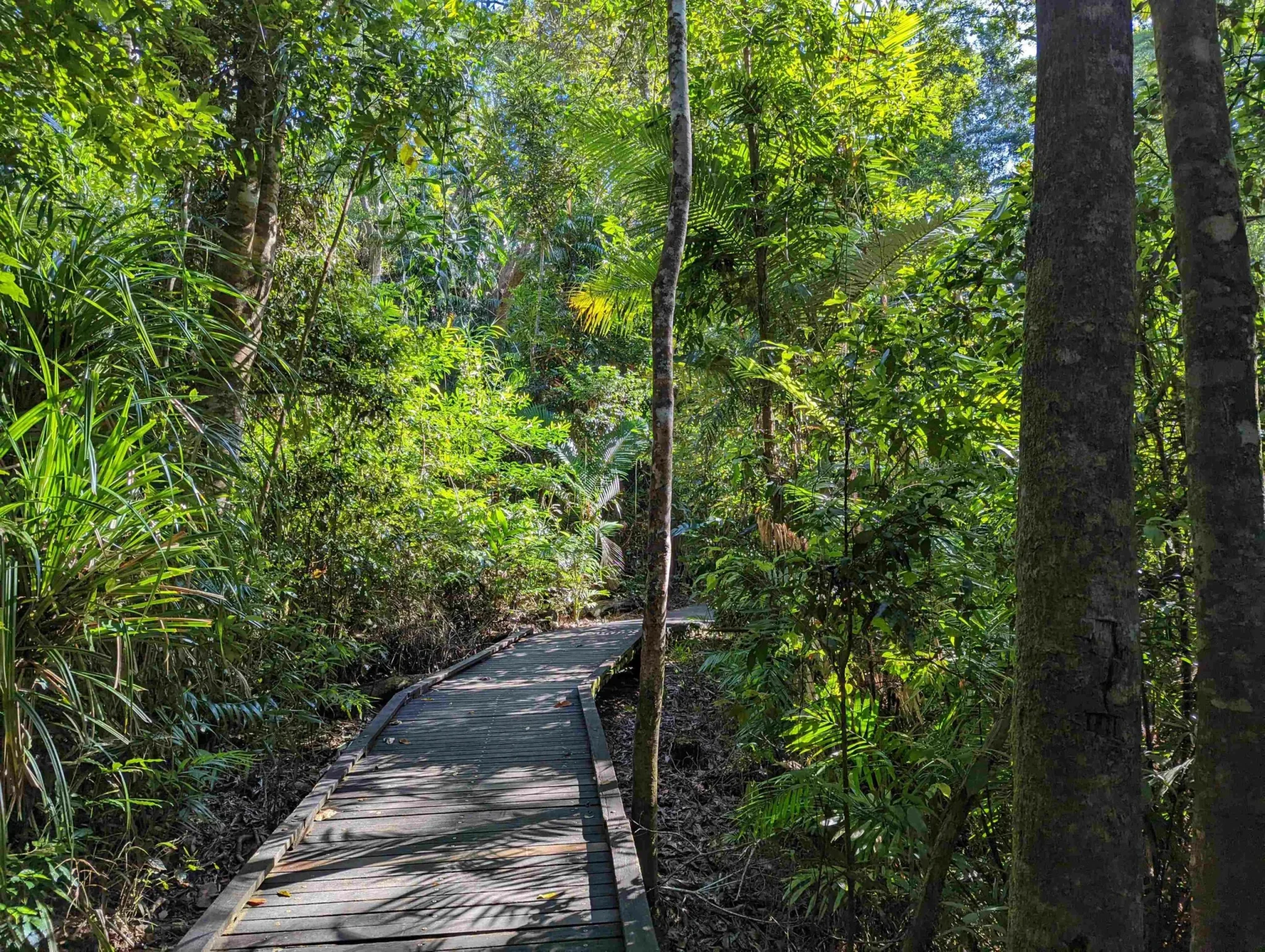 Kuranda Skyrail and Scenic Railway day tour