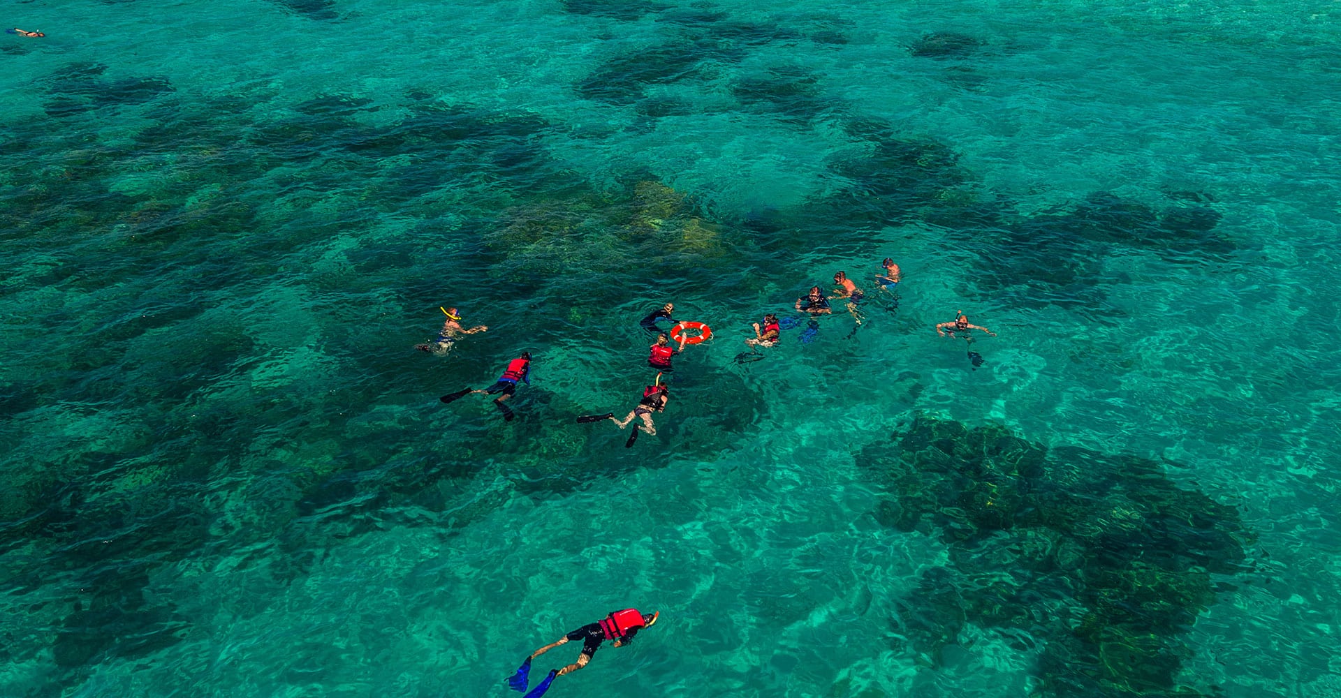 Snorkelling at Pinnacle Reef