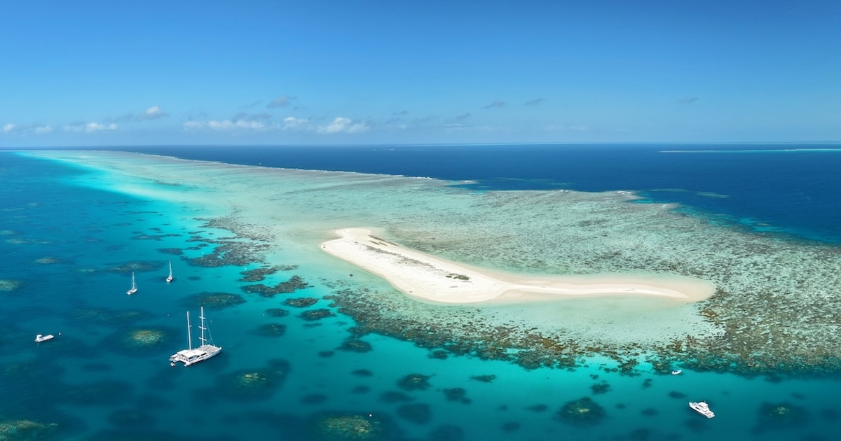Michaelmas Cay and its reef from the air