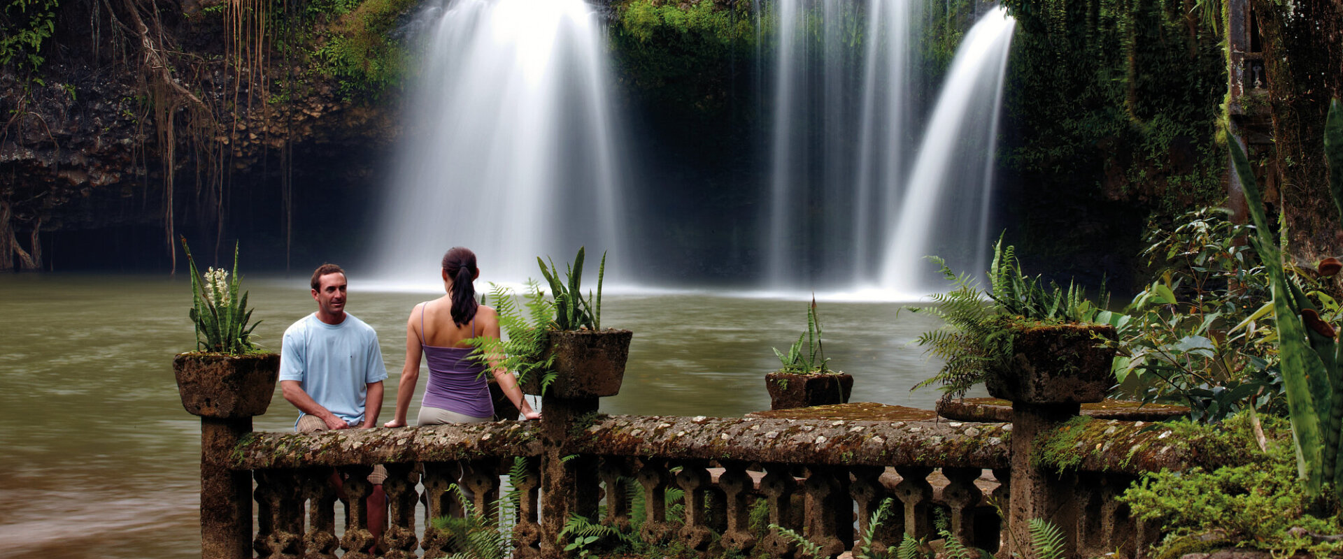 Atherton waterfalls and Paronella Park day tour
