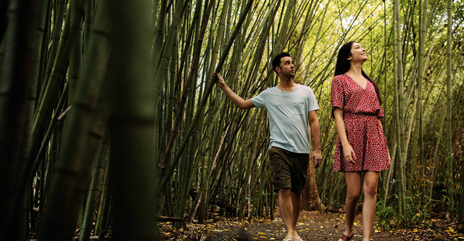 Atherton waterfalls and Paronella Park day tour
