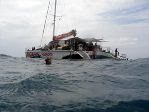 Passions III catamaran side view