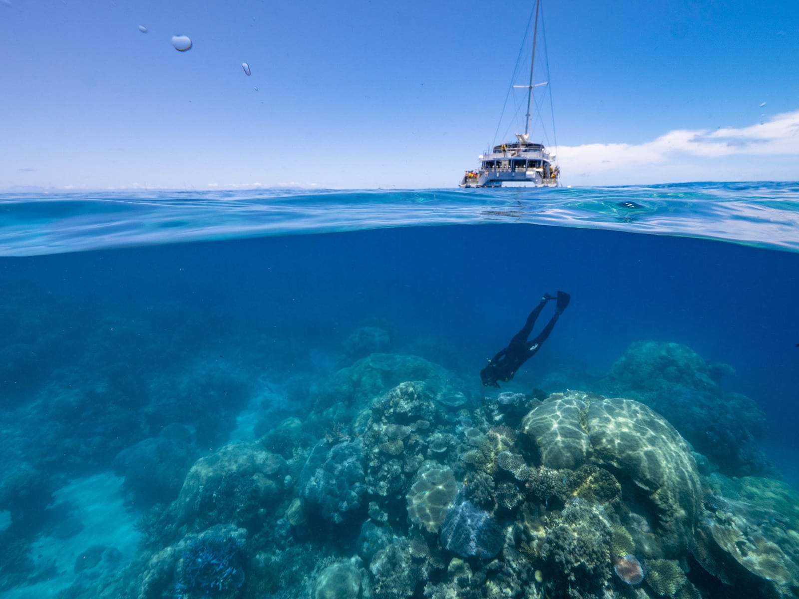 Freediver above large coral head