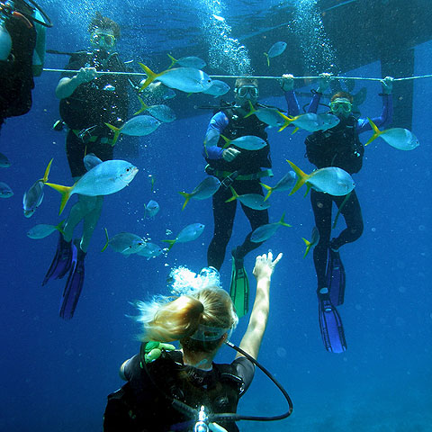 Diver giving thumbs up underwater