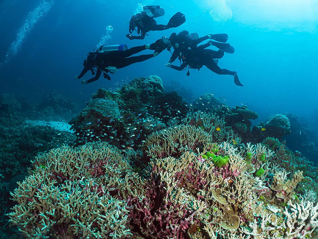 A group of scuba divers descending over coral on the outer Great Barrier Reef
