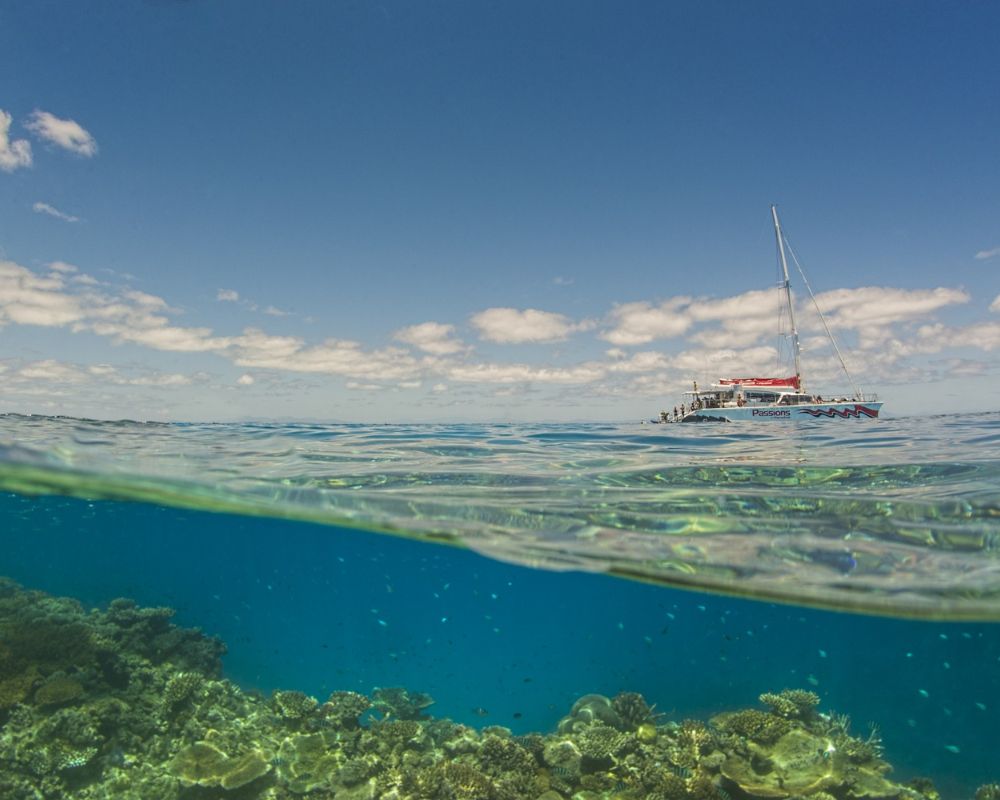 Boat above, reef with fish below