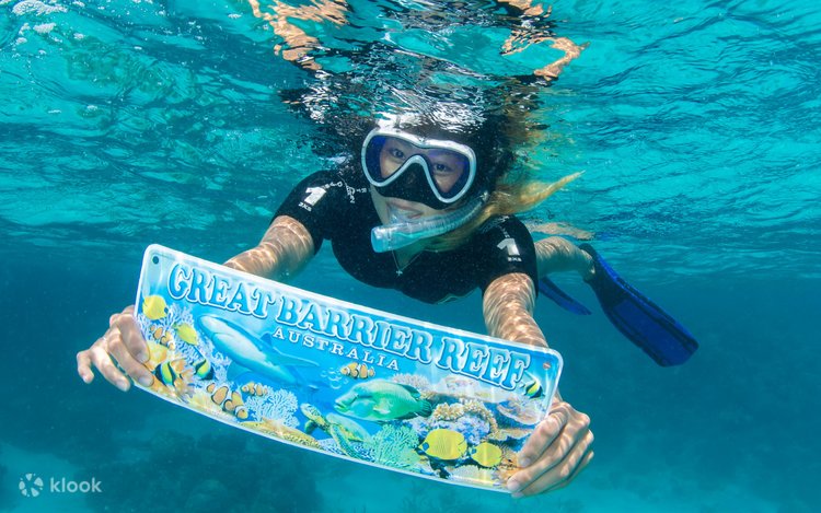 Snorkeller with reef guide card