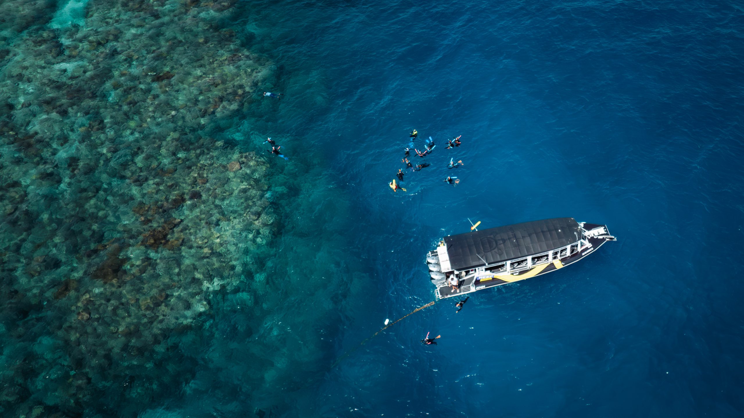 Reef Adventures boat at reef site