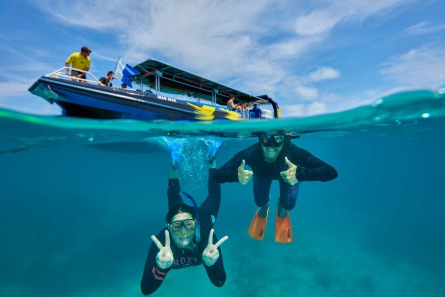 Snorkelling on the half-day tour