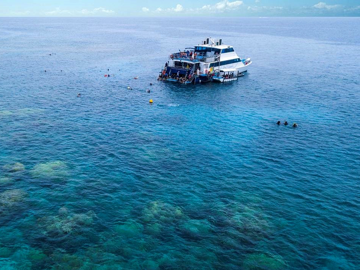 Reef Experience vessel at reef