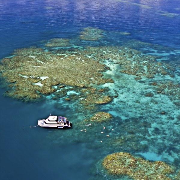 Small vessel at reef