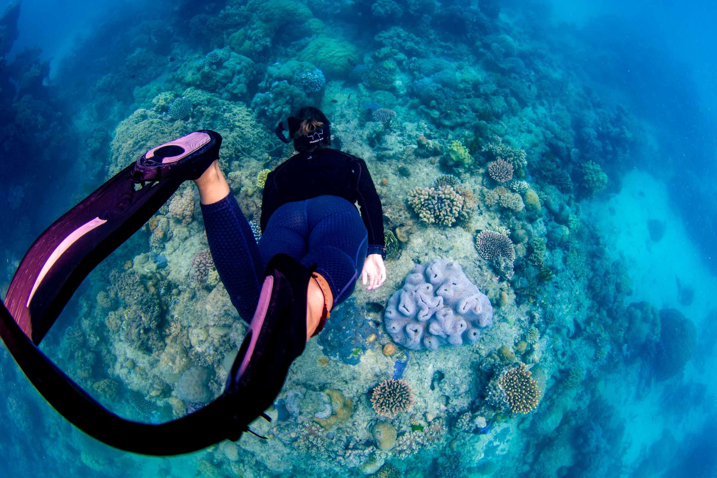 Guests snorkelling at reef