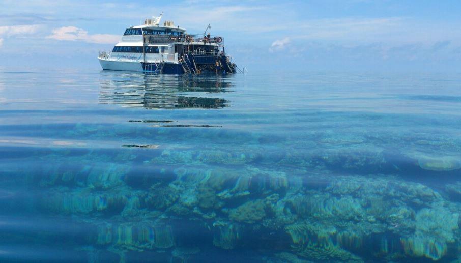 Reef Experience day tours from Cairns
