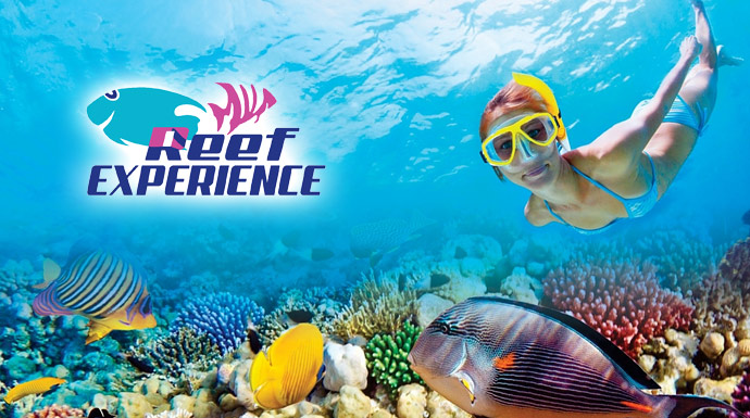 Vessel above coral garden