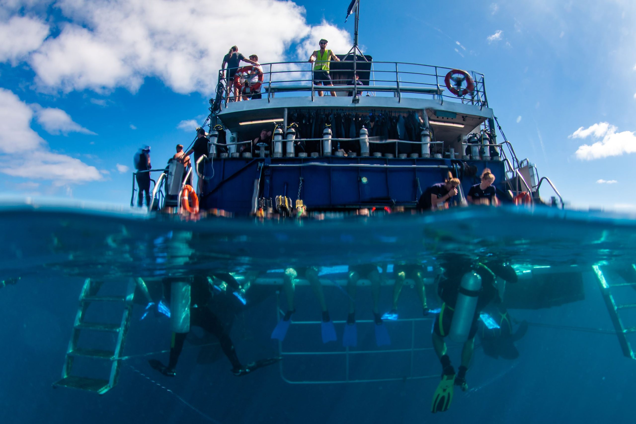 Divers above the coral reef