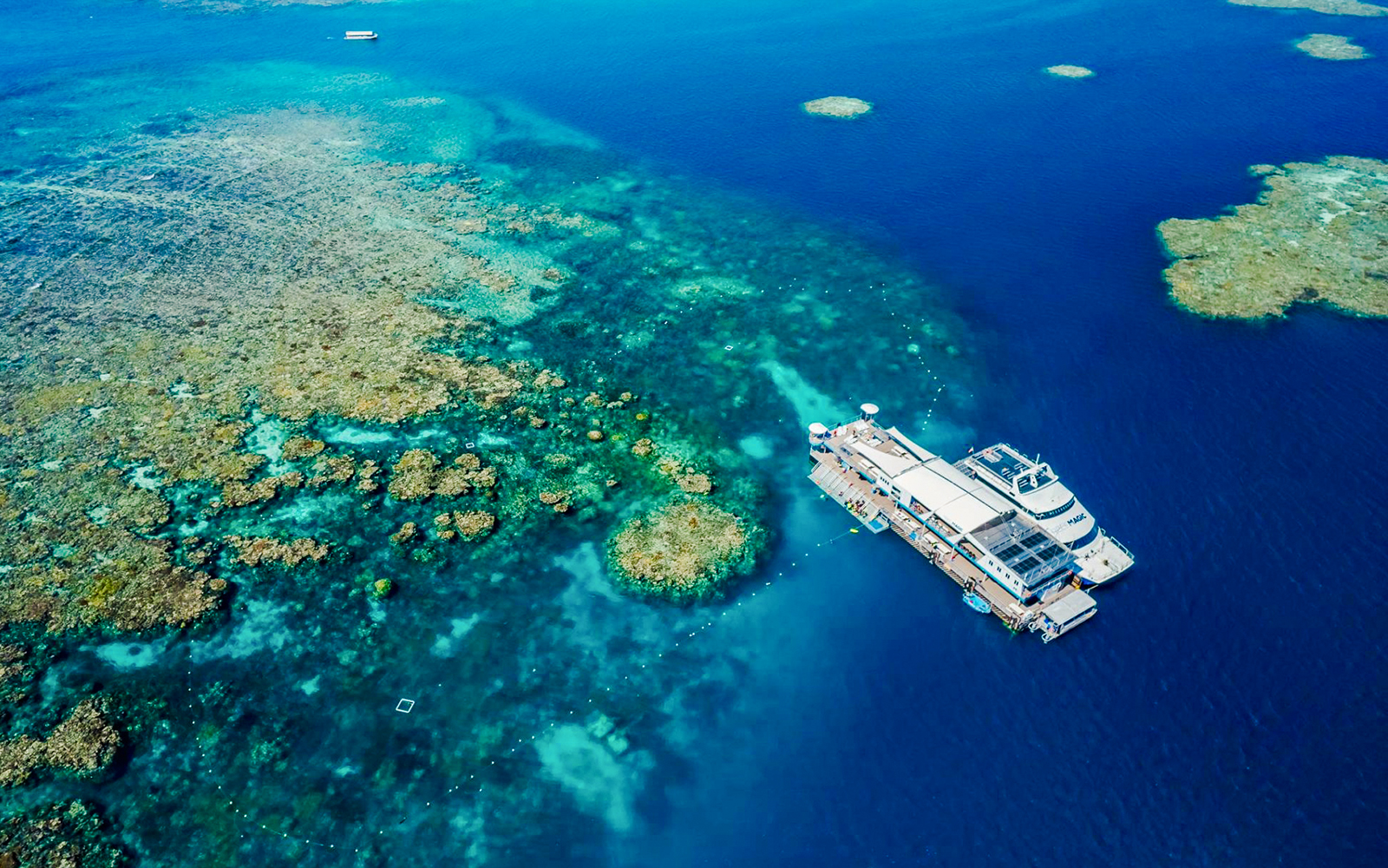 Pontoon among coral gardens