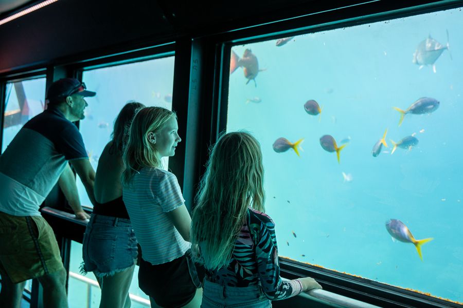 Families at Sea Observatory window