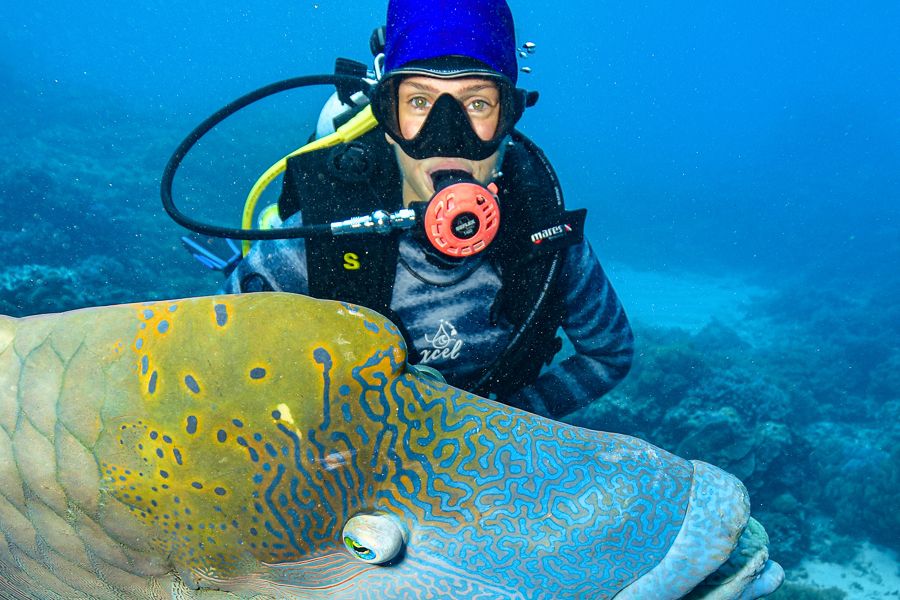 Diver exploring reef in full gear