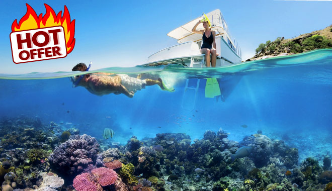 Split image, snorkeller and coral