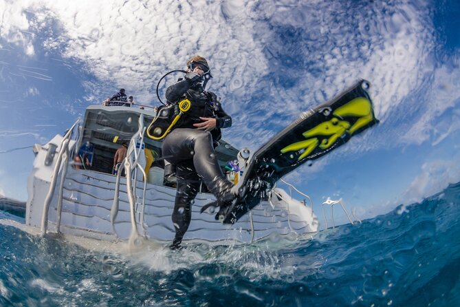 Diver entering water from platform