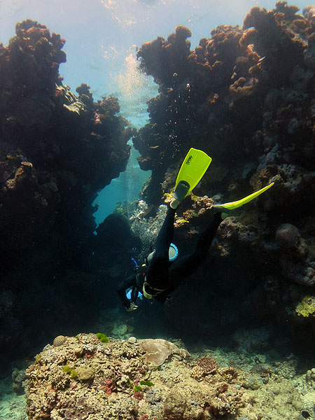 Diver in cave formation at reef