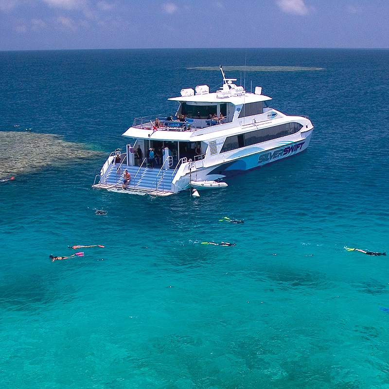 Stern view, snorkellers entering water