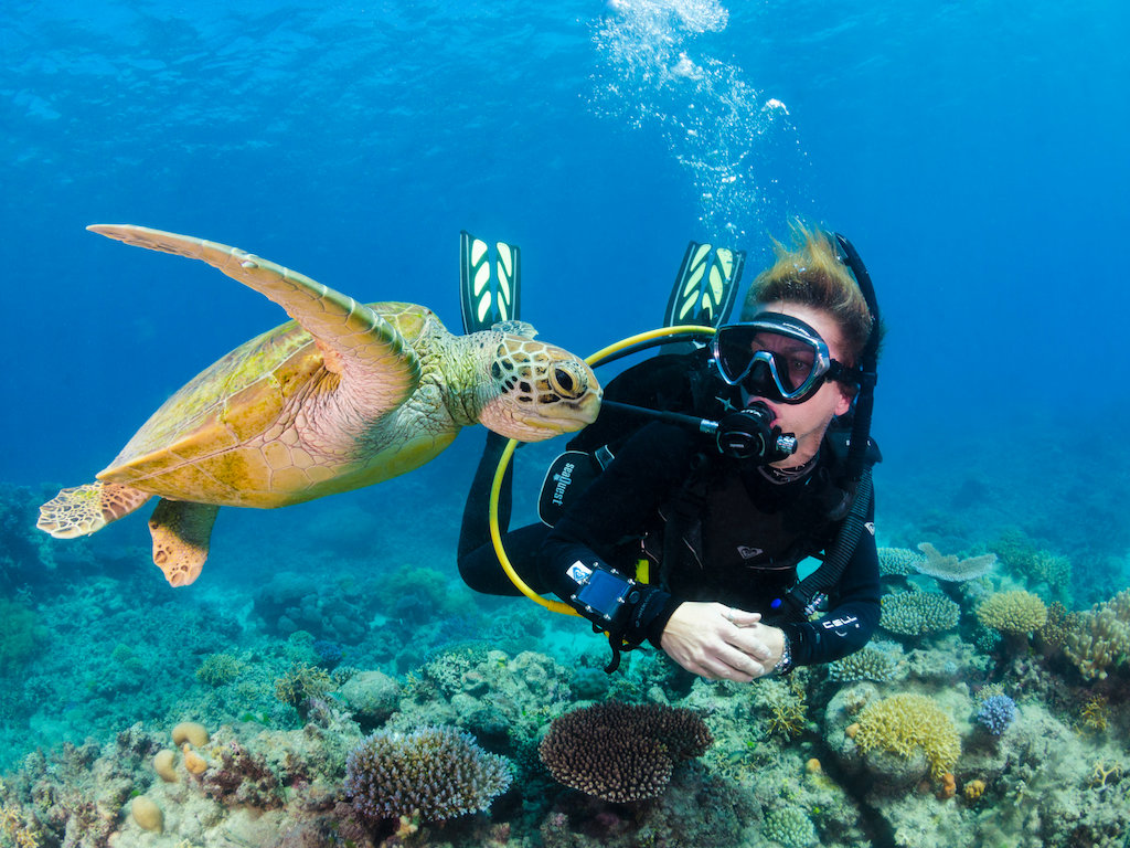 Diver with sea turtle encounter