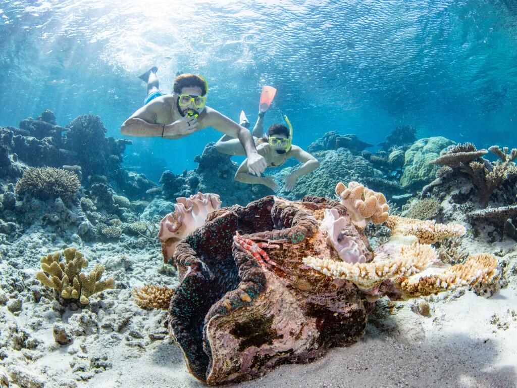 Snorkellers over coral reef