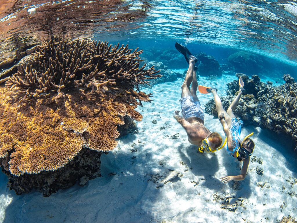 Snorkellers near coral formations