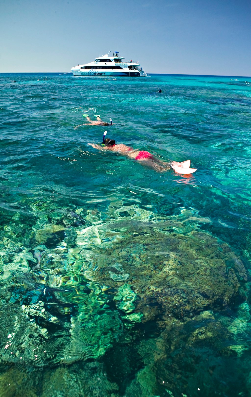 Snorkellers with reef and boat
