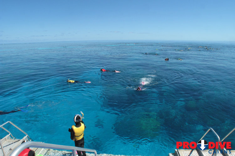 Multiple snorkellers near boat