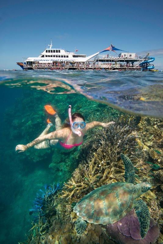 Boy snorkelling with sea turtle