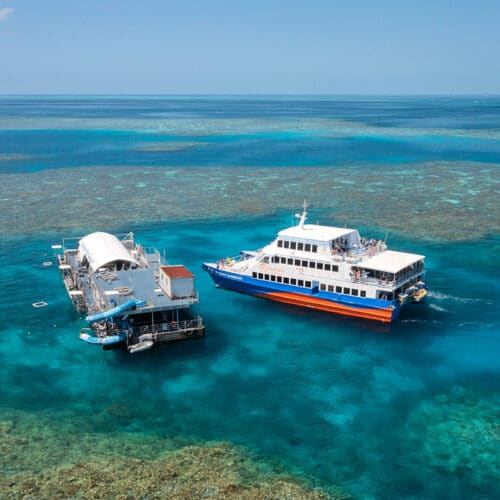 Sunlover pontoon at Moore Reef