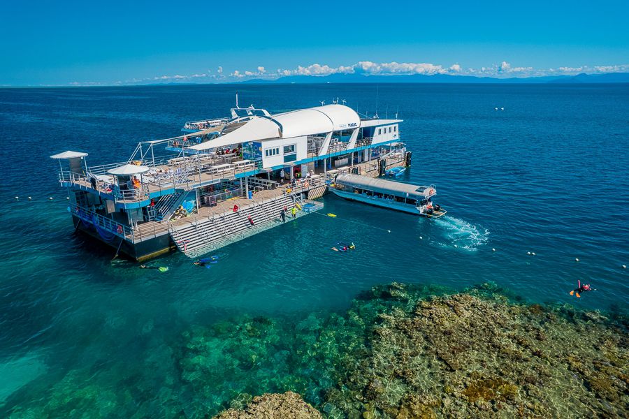 Pontoon with snorkellers and reef