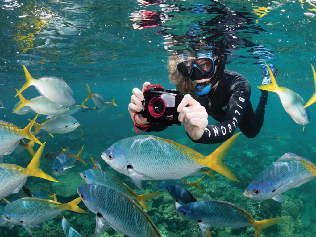 Snorkeller with fish underwater